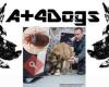 A+4 Dogs Gedragsbegeleiding, detectiondog specialist - opleidingen