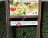 Aardbeien Verstraete