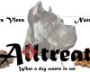 Alltreat