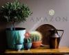 Amazona Belgium by Spatio