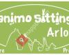 Animo-Sitting Arlon; garde animalière et promenade canine.