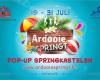 Ardooie Springt