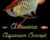 Arowana Aquarium Concept