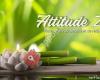 Attitude Zen