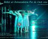 Ballet- & Dansacademie Pas-de-chat vzw