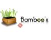Bamboo'x