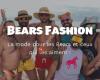 Bears.Fashion