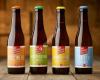 Belgian Craft Beer Company