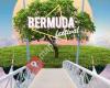 Bermuda Festival