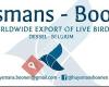 Bird export Huysmans-Boonen Belgium