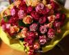 Bloemen Swennen Riemst