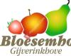 Bloesemhof