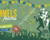 Bommelsfeesten stad Ronse