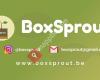 BoxSprout