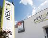 Brasserie Nestor