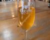 Brouwerij Bosteels