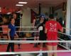 Brugse Beer (Kick)boks & Fitness