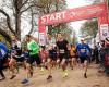Brussels Marathon & Half Marathon