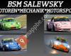 BSM Salewsky Motorsport