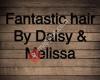 By Daisy & Melissa,Fantastic Hair