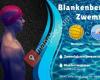 BZV - Blankenbergse zwemvereniging