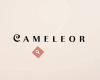 Cameleor by Nathalie Mattheeuws - Créatrice en joaillerie