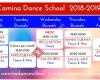 Camina Dance School