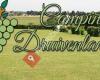 Camping Druivenland