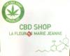 CBD shop la fleur de Marie Jeanne Montignies/Sambre