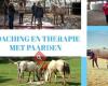 Coaching en therapie met paarden