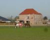 Coaching Met & Door Paarden