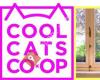 Cool Cats Coop