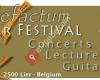 Cordefactum, instruments and music festival