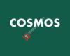 Cosmos cosmos