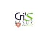 Cri'S Assur sprl