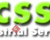 CSS Services