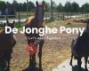 De Jonghe Pony