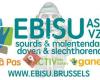 EBISU asbl/vzw/non-profit