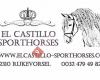 El Castillo Sporthorses