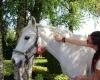 Emma Sensitive - massage sportif equin