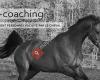 Equi-coaching Valentine Van Hamme