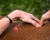 Equine Osteopathy Dierendonck Morgane