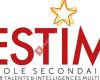 ESTIM - Ecole Secondaire pour Talents & Intelligences Multiples