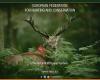 FACE - European Federation for Hunting and Conservation