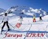 Faraya