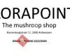 Florapoint: The Mushroom Shop