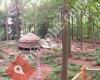 Forest Yurt near Bruges