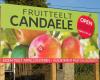 Fruitteeltbedrijf Candaele