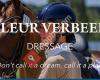 FV Dressage