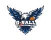 G-ball Sharphill